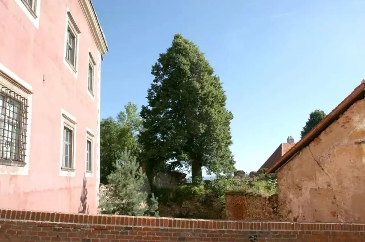 Zámek Sádek a vinařství